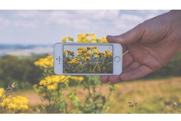 7 Essential Filmmaking Apps to Download Right Now